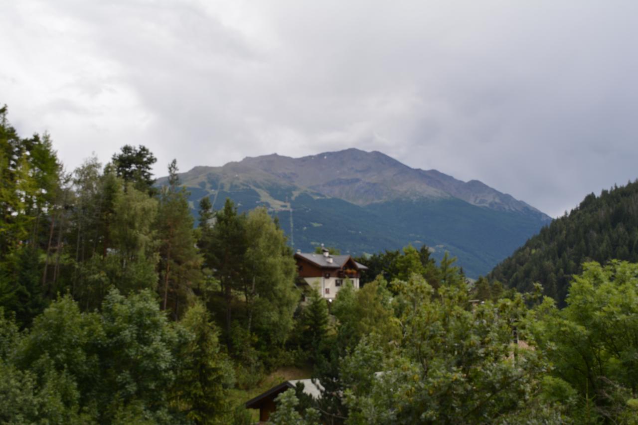 Albergo - B&B Alpina Premadio Eksteriør bilde